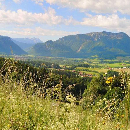 Ferienwohnungen Im Alpengaestehaus Marzoll - バートライヘンハル エクステリア 写真