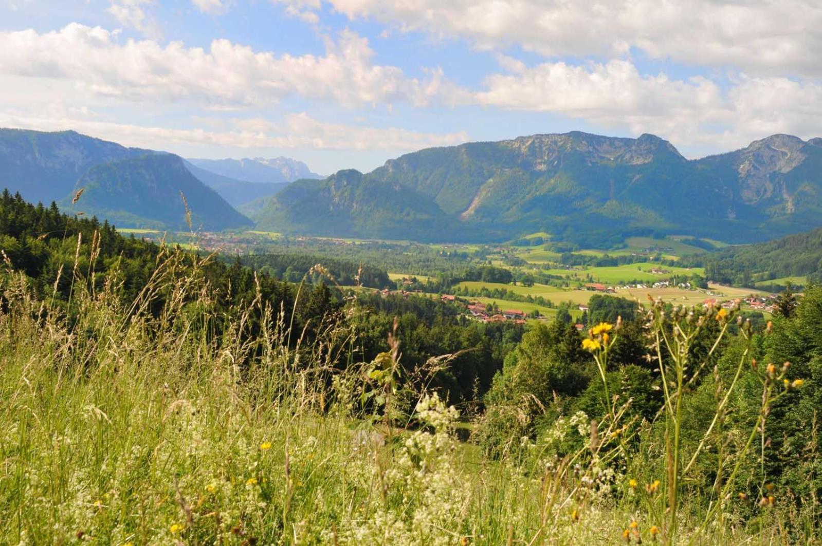 Ferienwohnungen Im Alpengaestehaus Marzoll - バートライヘンハル エクステリア 写真