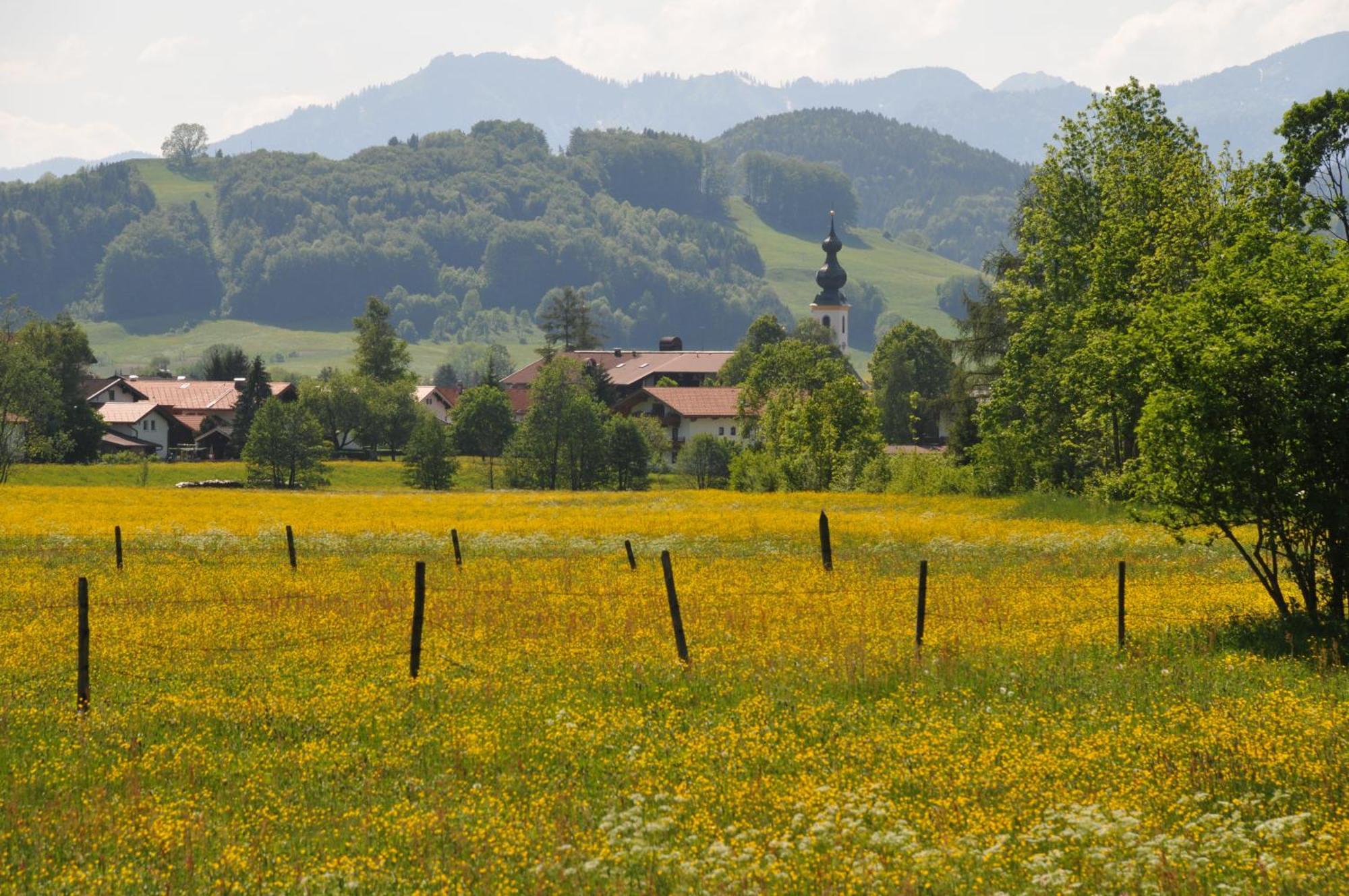 Ferienwohnungen Im Alpengaestehaus Marzoll - バートライヘンハル エクステリア 写真