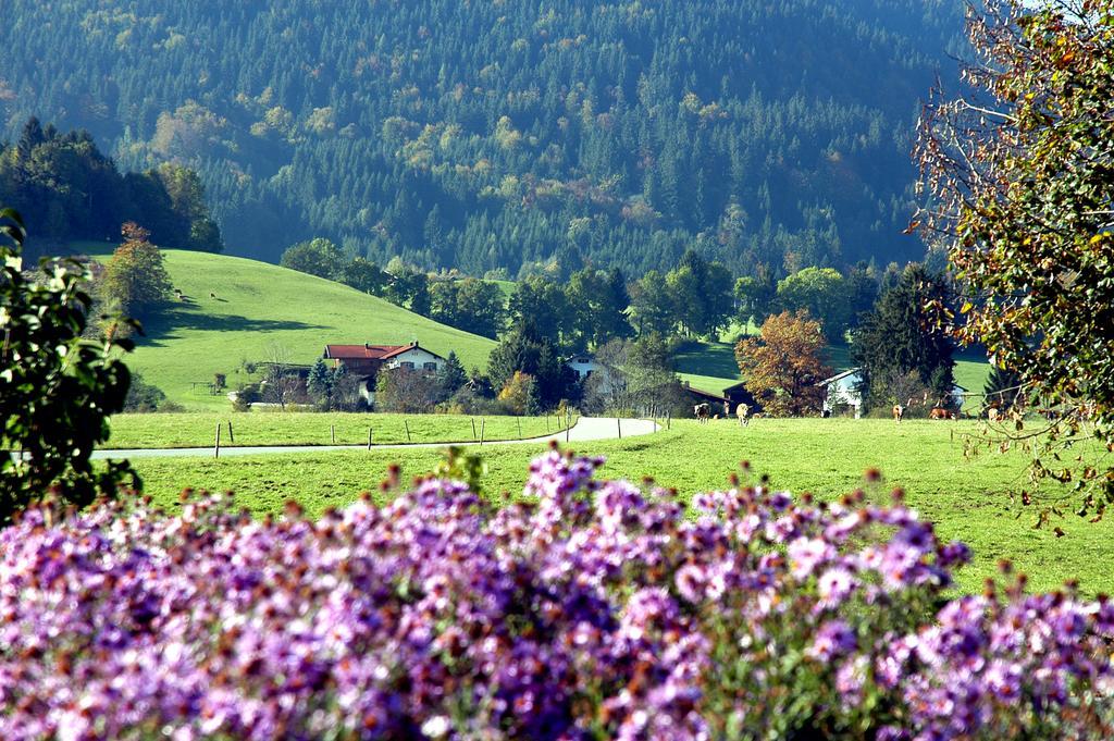 Ferienwohnungen Im Alpengaestehaus Marzoll - バートライヘンハル エクステリア 写真